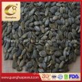 Hot Sales Grown Without Shell Pumpkin Seed (GWS)